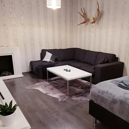 Appartement Vartiomaja - Beautiful Near Arktikum Rovaniemi
