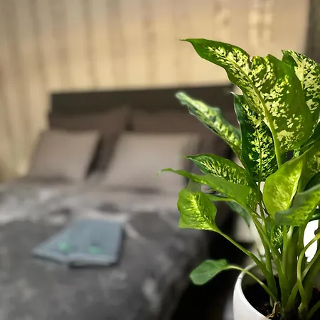 Vartiomaja - Beautiful Near Arktikum